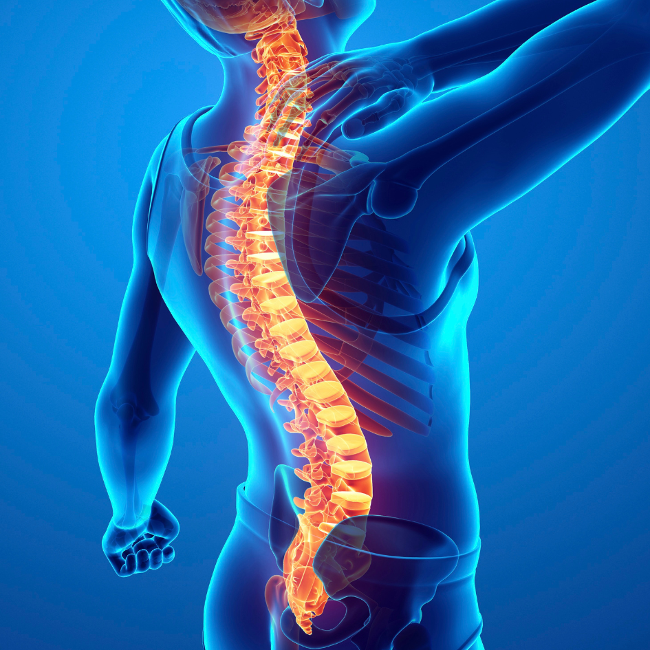 1 Week Trial Pack - Super 30 Kit 100% आयुर्वेदिक दर्द निवारक टैबलेट अब उपलब्ध है कैश ऑन डिलीवरी के साथ!